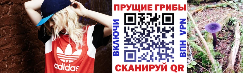 Псилоцибиновые грибы GOLDEN TEACHER  Олёкминск 